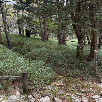こっち登るとグレーピークに行くらしいけど、🐻が怖いのでまた今度