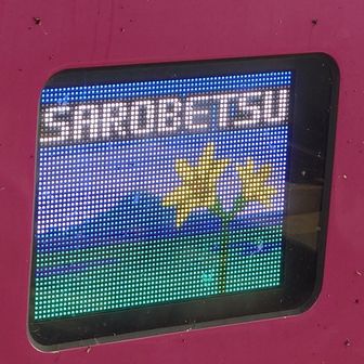 マサコッテリ
