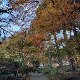 本坊庭園の方に先に寄ります
