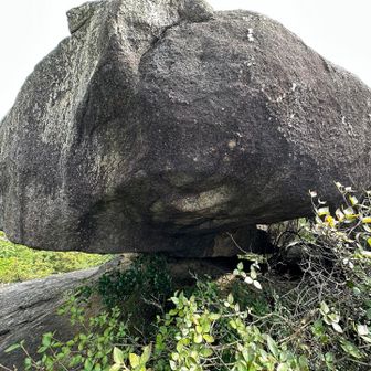 一点支持