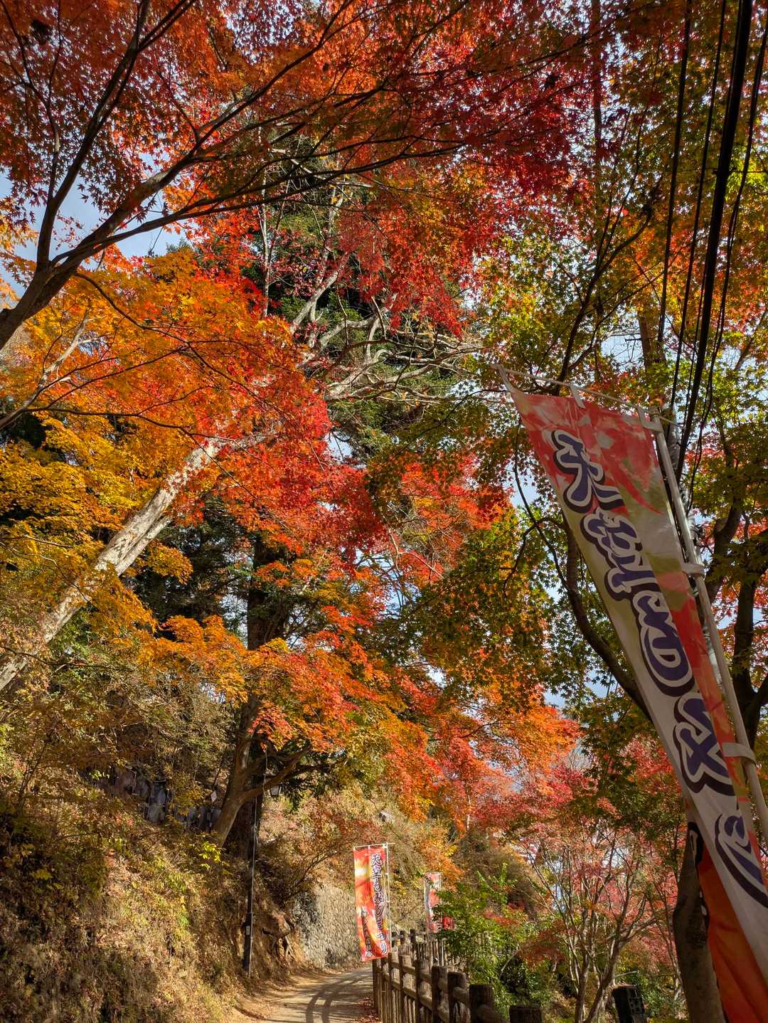 3連休まで持ちそうだね🍁
