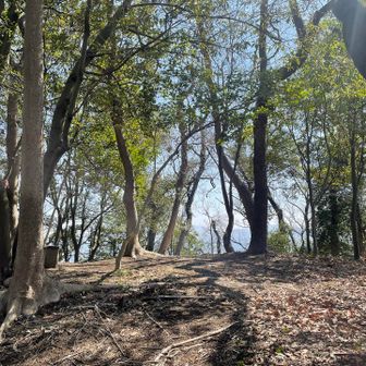 雌上佐山山頂
木漏れ日が綺麗