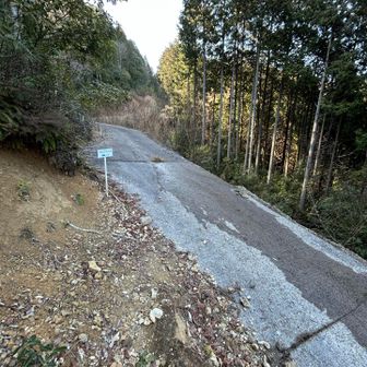 ここ⚠️ロストポイント
舗装された林道を行くのかと思いきや‥
下りてきて、林道を突っ切って、横断した所にトレイルあり！
ここは以前、私もロストして、彷徨いました😭