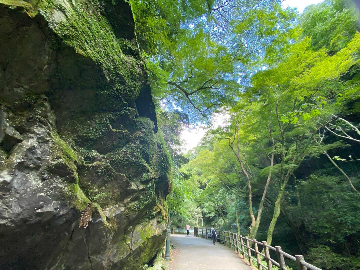 今はしっかり整備されてる