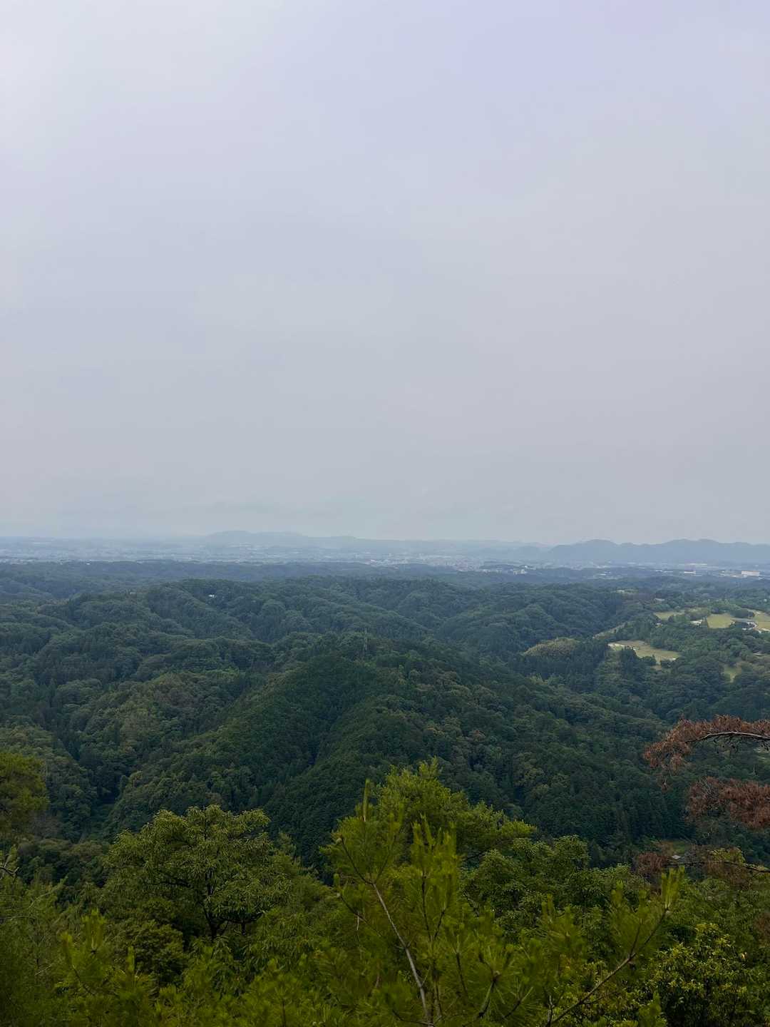 曇り空☁️

途中は階段から
登山道コースへ🥾！