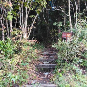 鏡ヶ成駐車場登山口から入山🏃