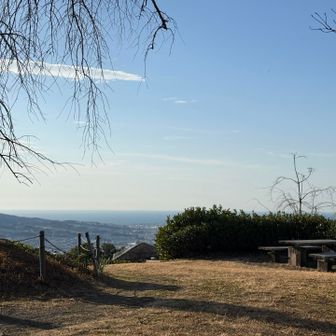 のんびりできます