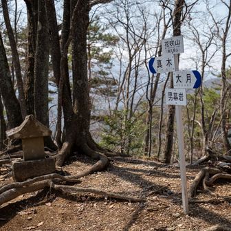 ここまで結構大変でした。。
低山あるあるで、ステップ無し、ザレていて、ピンテ少なめで道迷いしやすく、途中落ちそうになりました😓