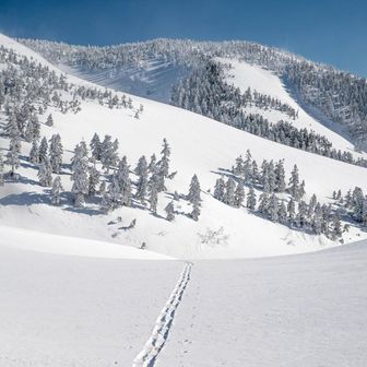 桃源郷って感じ