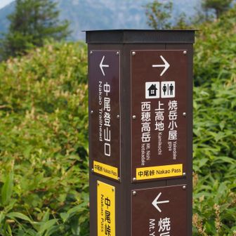 中尾峠へと下りてきました
さて、展望台のピークを越えて焼岳小屋に寄るか、このまま中尾へと下るか？