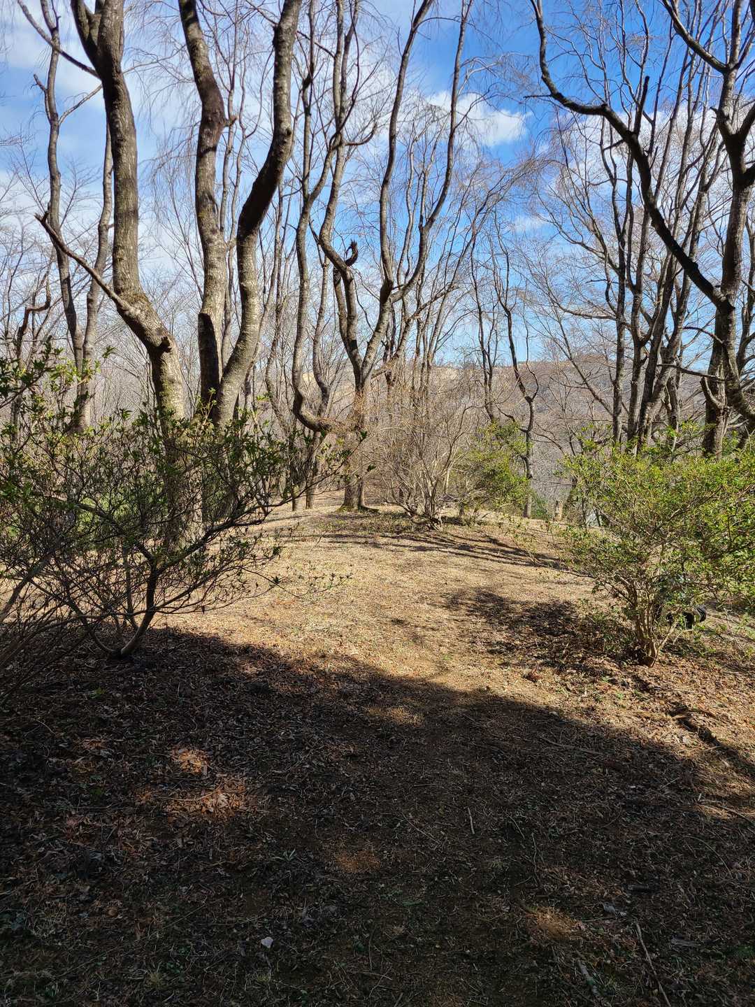 日ノ森山山頂🎵
開けてていい感じですよ