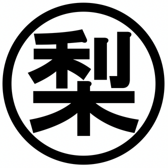 リサコスタイル