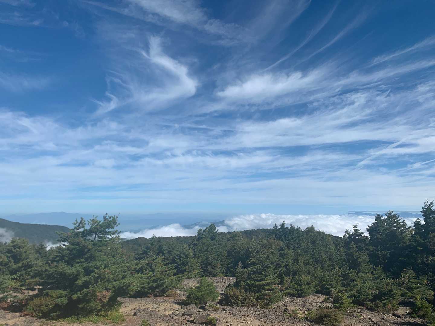 開けて雲海見えた