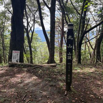 近いので丸山にも寄る
見晴らしはない丘のようであるが、木の間から富士山が見えた