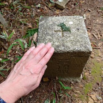 一等三角点△タッチ🤚