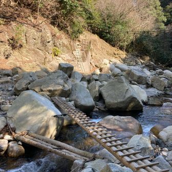 木の橋をてくてく(ง ˙ω˙)ว