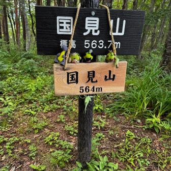 本日3座目🙌