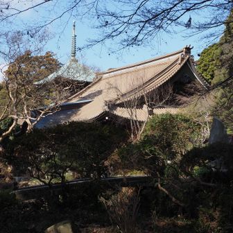 薬王院と三重塔