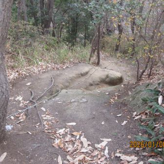 下山道はかなり急だけど、ロープや梯子があるので全然大丈夫。