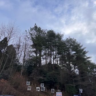 駐車場に着くと青空が😍❣️
山頂でゆっくりしてるみかちゃん
晴れて良かったよ〜🙌🏻