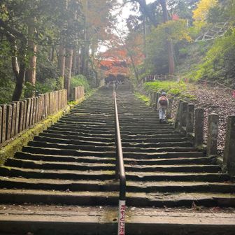 寺社仏閣、石仏に続き、参道が好きだ！
と気づく私
末っ子はこの辺りで鬼滅の刃の最終選別を思い出す〜と⚔️