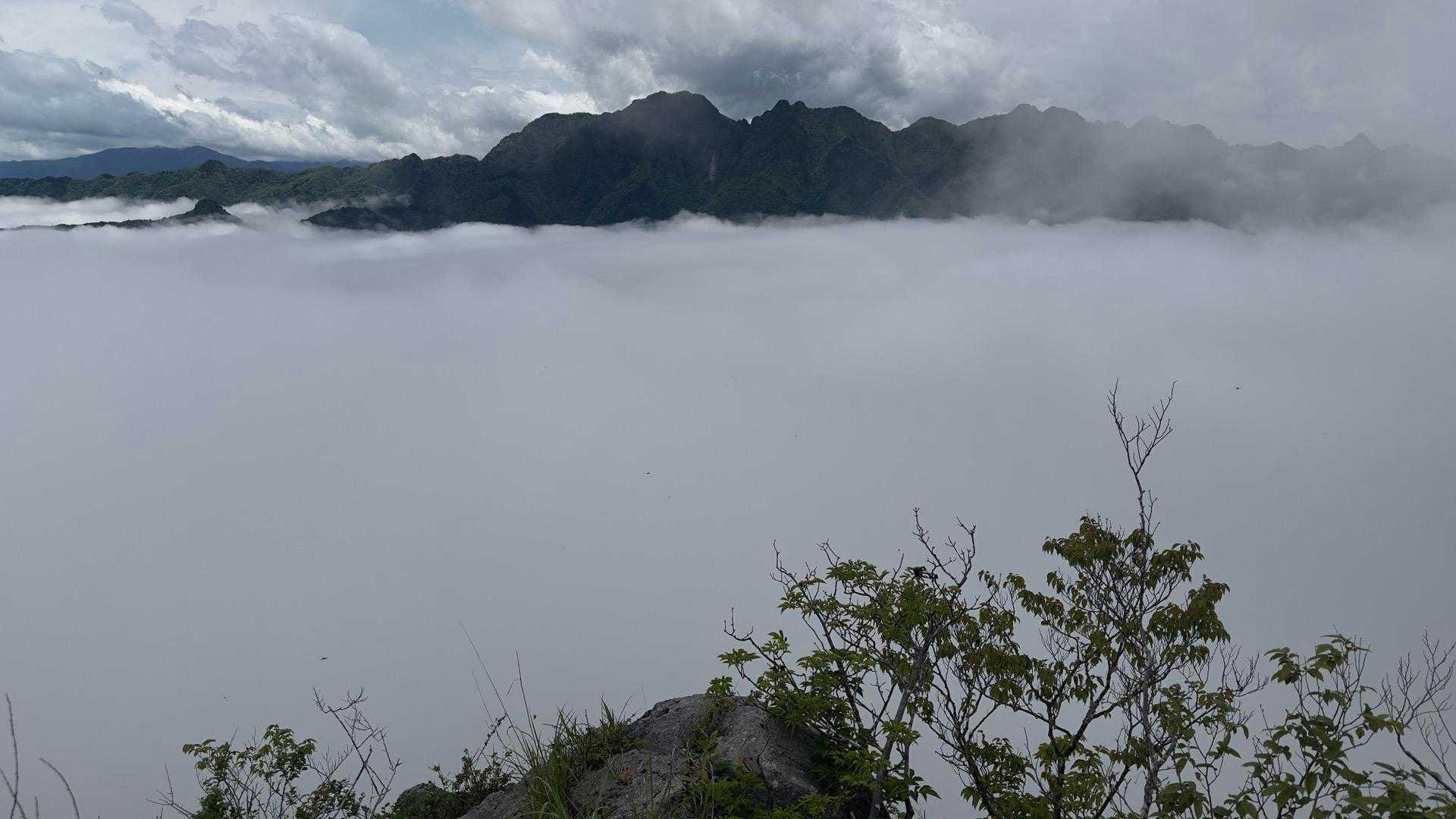二子山倉尾登山口-股峠-二子山東岳-二子山西岳 周回コースの写真