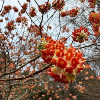 この子にも会いたかったん❤️