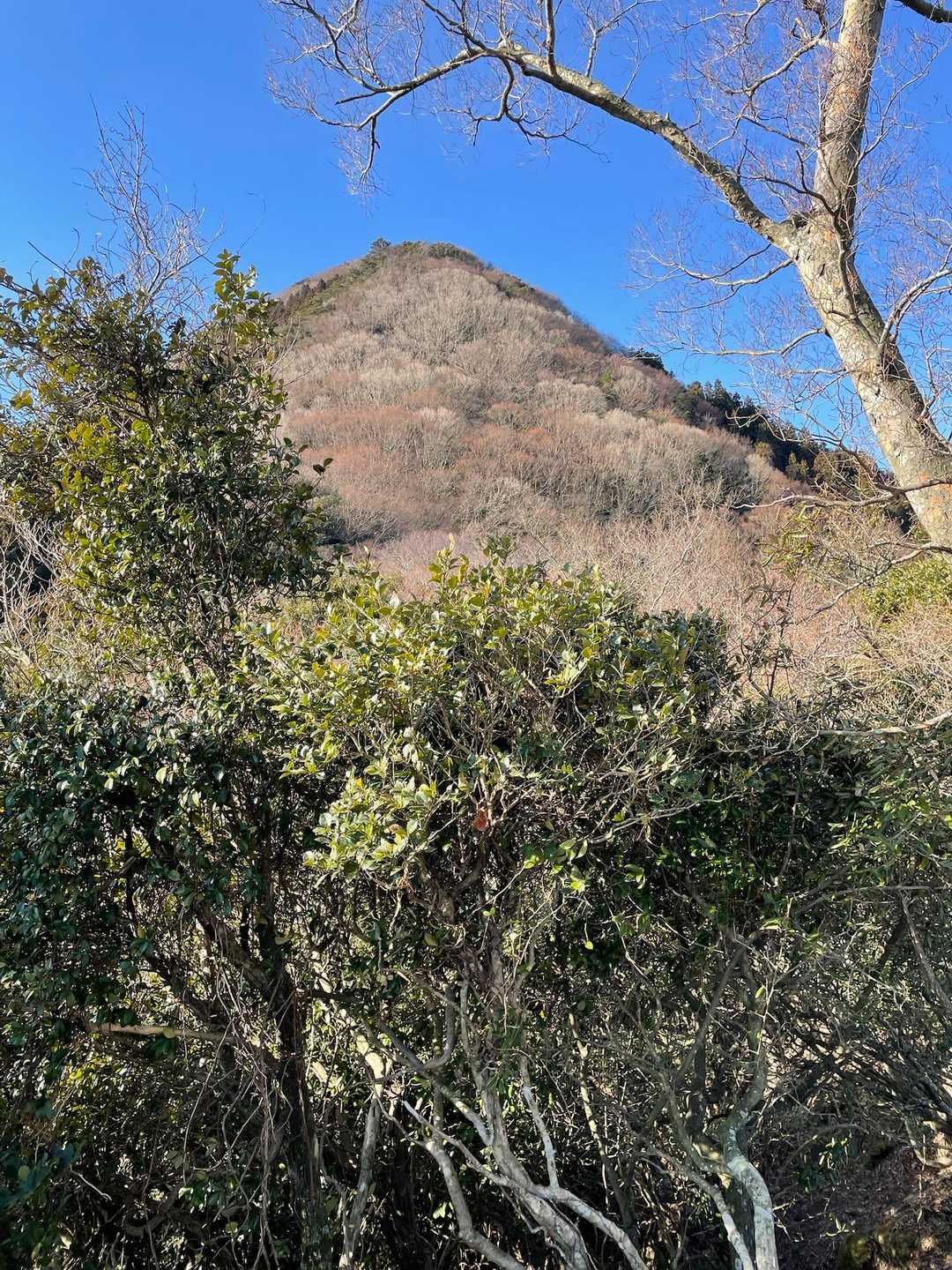 千燈岳が、少し近付いた