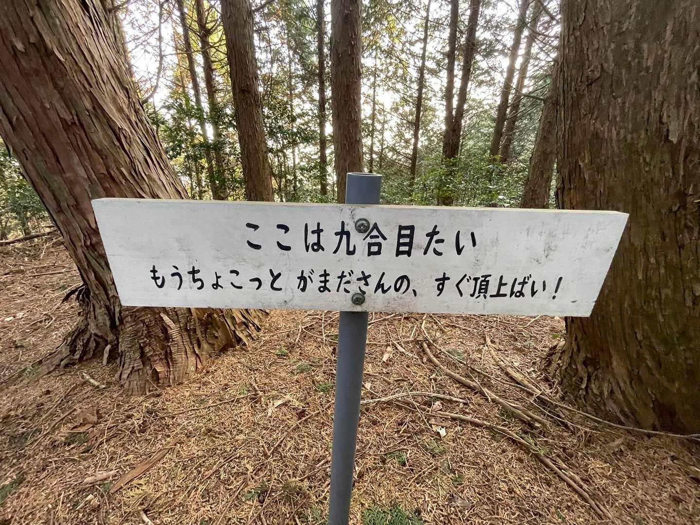 発心山登山口-発心山-白山-長岩山 周回コースの写真