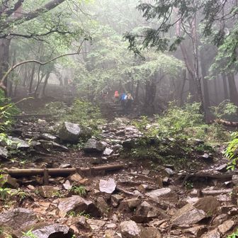 こんな日☔️でも大倉尾根は人気です♪