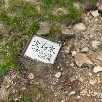 命の水場に感謝😢