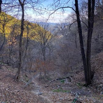 一旦道路を挟んで一気に上がる⤴️
