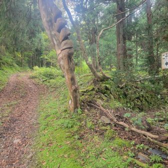 ネジネジの木🌳

ラウンド2！二子山登山開始！