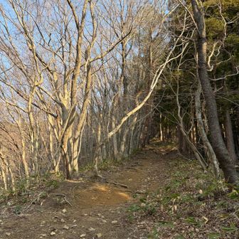 最初から急登だ💦