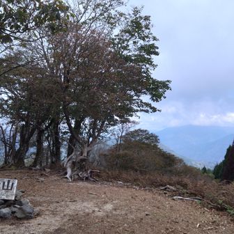 山頂