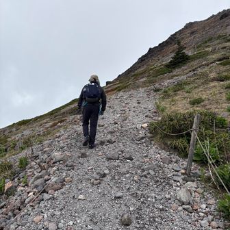 ピザ山