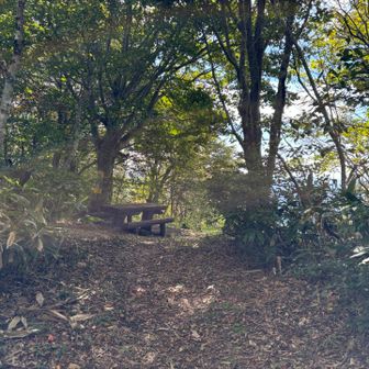 ベンチが登場
山頂はきのこ観察会の人々で賑わっていたので
ここで🍙にしよう
