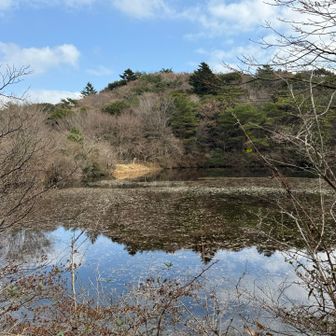 キャンプ場はこの池の畔にある。
