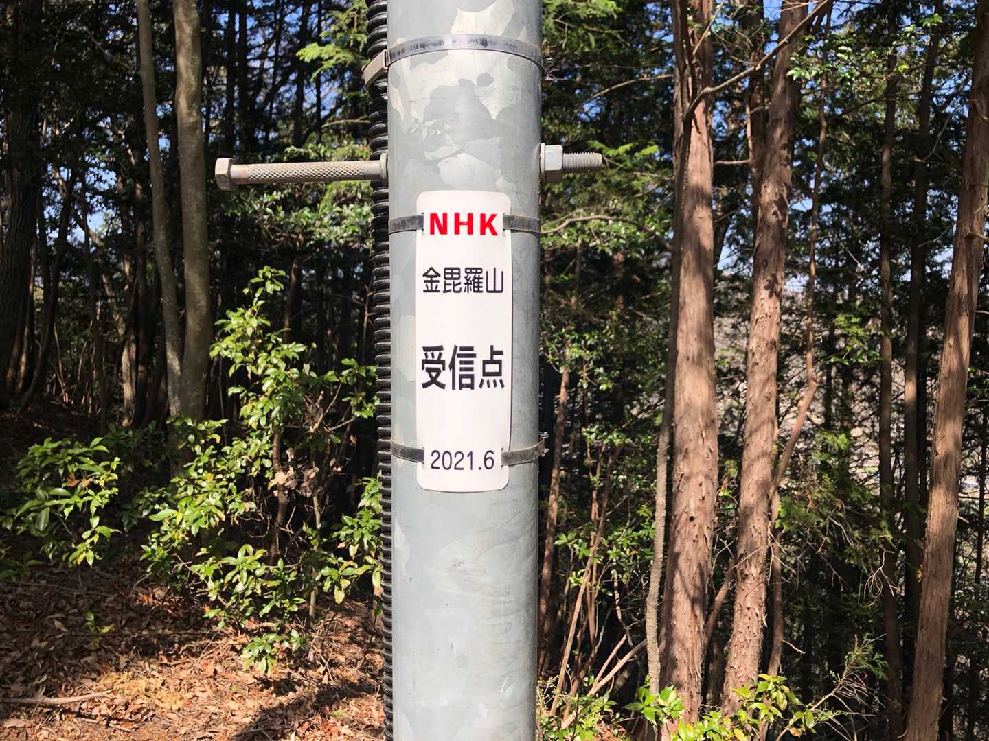 金比羅山