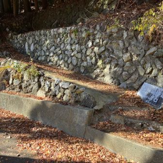 本当はここに出てくるはずだったようです。