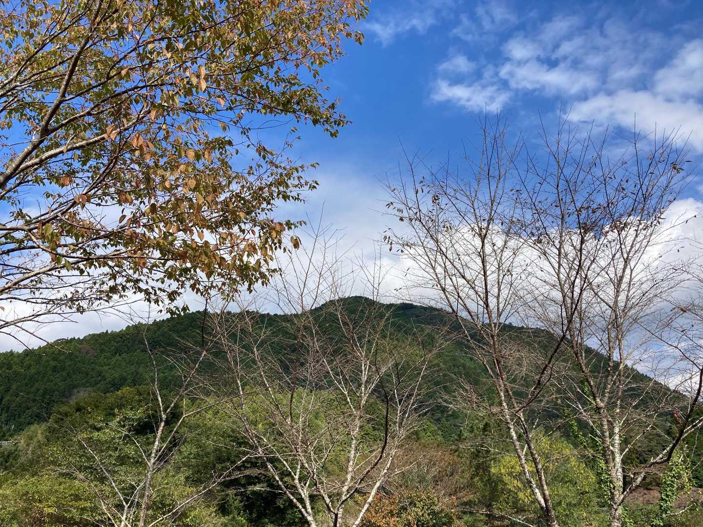 おはよー☀️
青空嬉しいなぁ😃