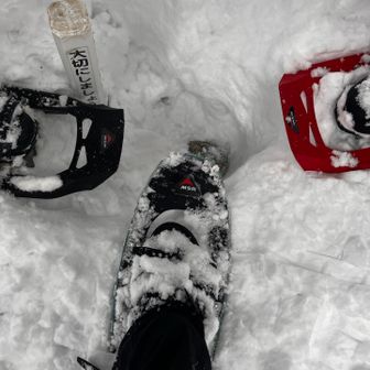 もう一人登山者さんが登ってこられ、東屋から先に三角点があると道をつけてくださった。