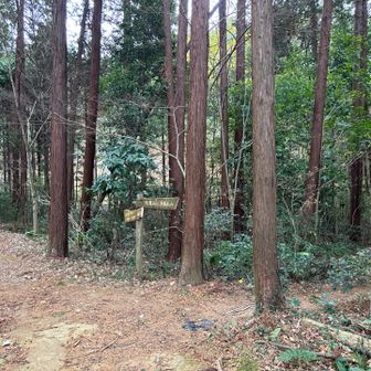 やがて前方が開けてきて・・・