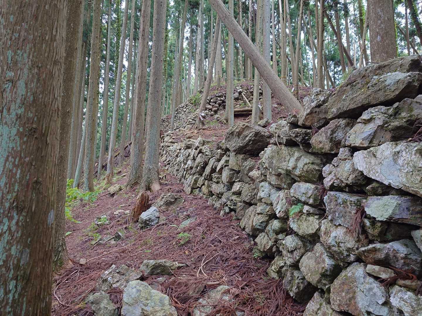 城山-黒尾山 往復コースの写真