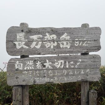 ガスガス