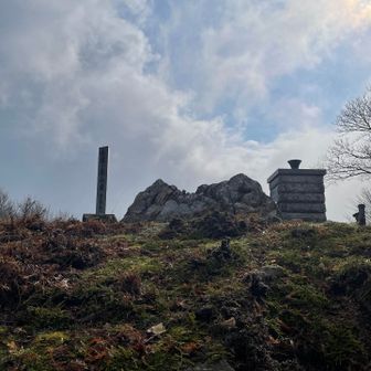 空は青くなってきた🩵