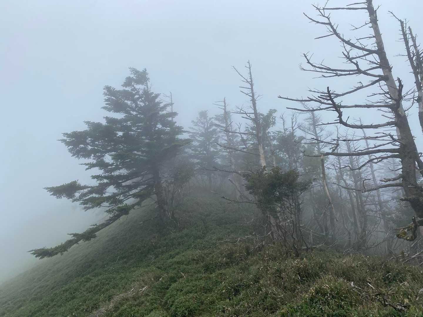 真っ白
