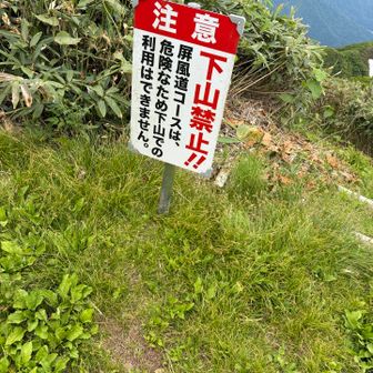 一方通行
