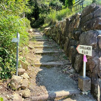 富田松山城跡登山口
に下山