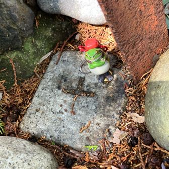 埋もれそうな三角点⭐︎